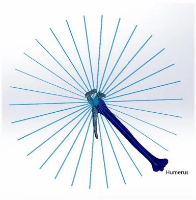 Figure 2.8: Range of motion template 