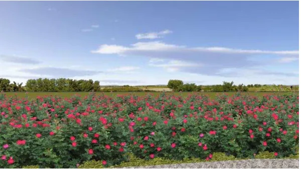 Figure 1. An example of the visulisation that portrays a perspective view of the landscape Source: the author 