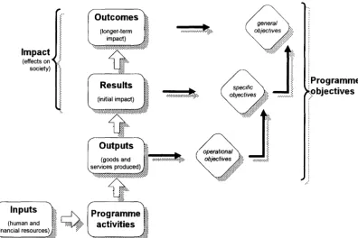 Figure 2.1. The intervention logic of a programme 