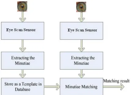 Figure 2. Iris recognition verifying process 