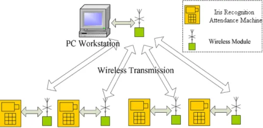 Figure 6. A network formed by four such systems In such a network, PC receives data from each iris 