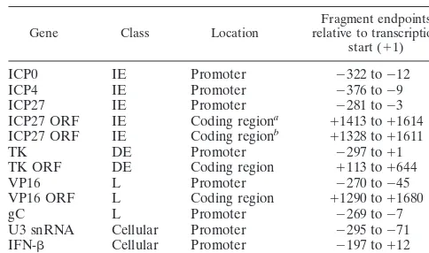 TABLE 1. Fragments ampliﬁed by PCR in ChIP andRT-PCR experiments