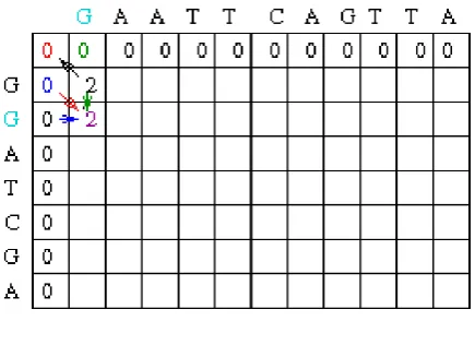 Figure 2 – Filling of Matrix 