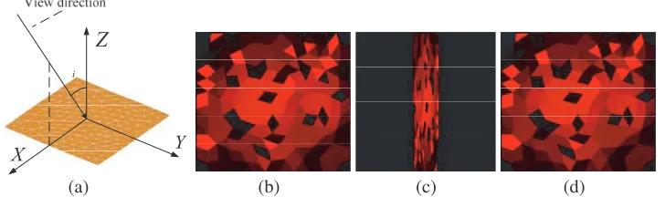 Figure 5. (a) Square plane model, Images with incident angle of (b)display rang, (d) θi = 0, (c) θi = 80 with unchanged θi = 80 with suitable display range.