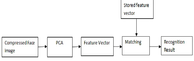 Fig. 3.  Compressed Domain Face Recognition 