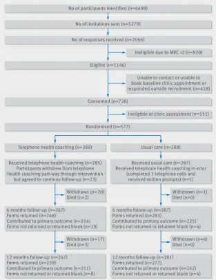 Fig 1 | Study flow diagram