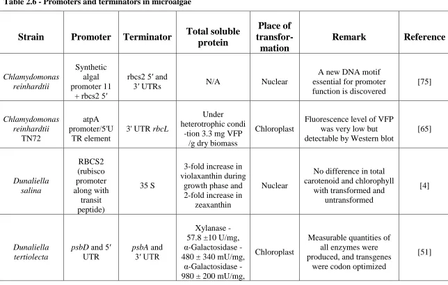 Table 2.6 - Promoters and terminators in microalgae 