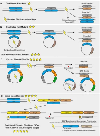 Figure 1. Overview of techniques that can be used for genetic target validation ingene essentiality, with one star being the weakest andemerge in the induced null mutants can then be analyzed