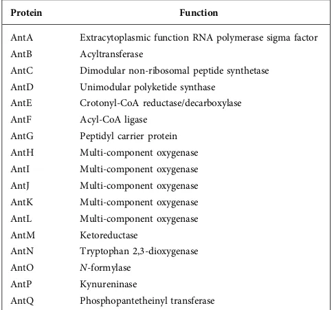 Table 2. Functions of proteins encoded by antimycin BGCs