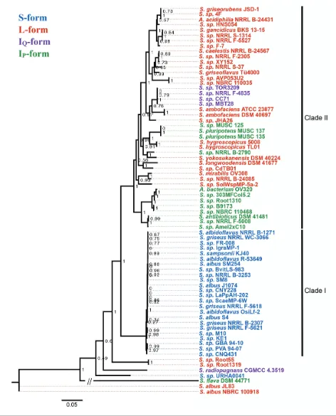 Fig. 3. Maximum likelihood phylogeny of 73 Actinobacteria analysed in this study. The phylogeny is based on 29 concatenated ribo-somal protein DNA sequences