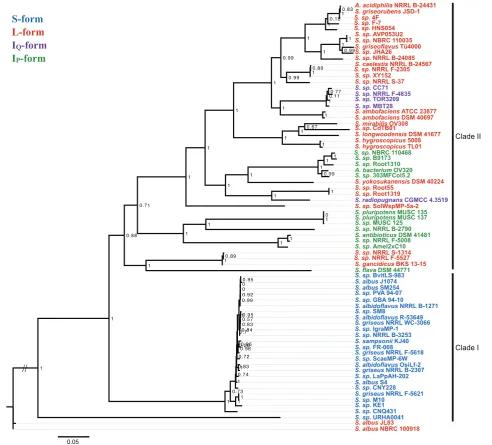 Fig. 4. Maximum likelihood phylogeny of the 73 antimycin biosynthetic gene clusters analysed in this study