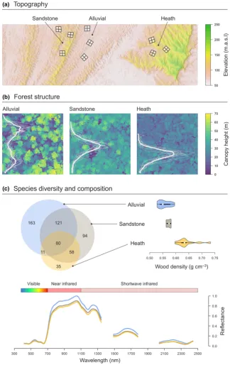 Figure 1 Variation in (a) topography, (b) forest structure and (c) species diversity and composition across Sepilok Forest Reserve