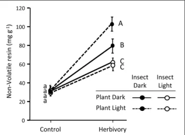 FIGURE 4 | Concentration of pine defenses (non-volatile resin) in control and herbivory-exposed 3-year-old Maritime pine plants under a factorial combination of light availability (sunlight/darkness) applied to the plants and to the insects
