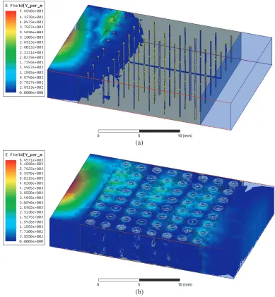 Figure 3. (a) 3D electromagnetic wave propagation at 14.44 GHz in the original waveguide