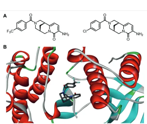 Figure 2  Natural-product-derived fragments identified as novel inhibi-tors of the p38a MAP kinase: A) examples of two different fragment classes; B) crystal structure of the p38a MAP kinase with a fragment bound at the allosteric site of the protein (PDB: 4EH9).