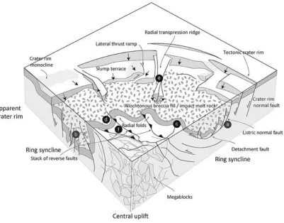 Figure 1.5. Schematic block diagram showing characteristic structural features of a 