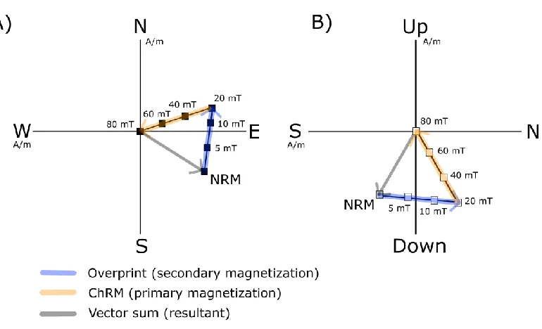 Figure 1.24. Example of stepwise alternating-field (AF) demagnetization data 