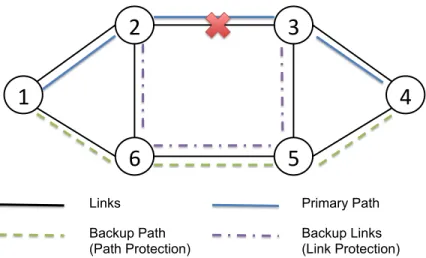 Figure 6: Path/Link Protection Scheme