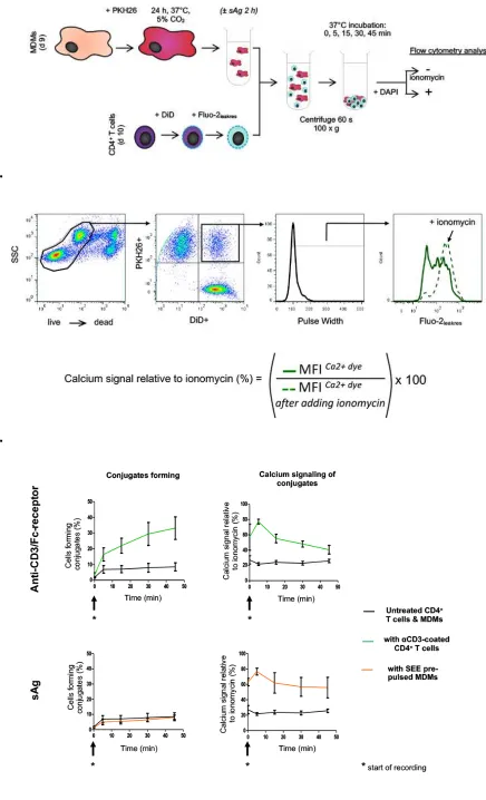 Figure 1Kasprowicz R. Rand E., O’Toole P.  & Signoret N.