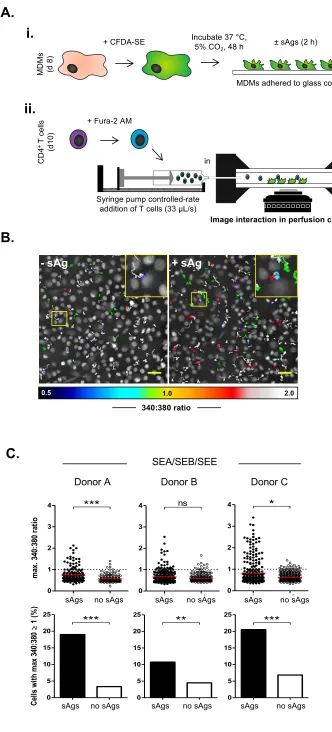 Figure 2A.