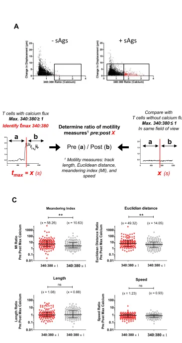 Figure 4A
