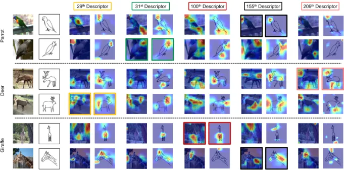 Figure 3: Visualisation of how the VTD adapts the sketch-photo matching process. Coloured image box border indicates when the correct (corresponding to query sketch) descriptor is used to paramaterise the embedding space.