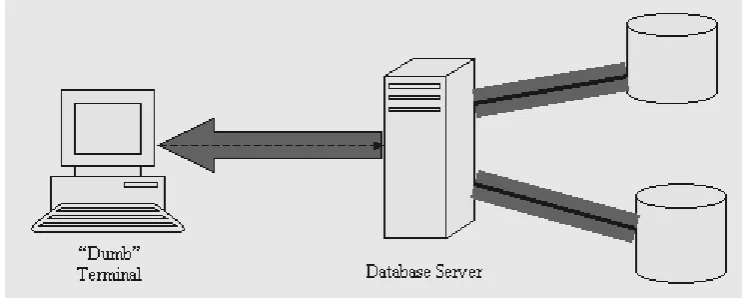 Figure 1:  Direct connection to database server 