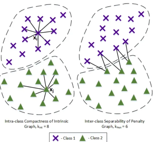 Figure 2.3. Marginal Fisher Analysis graphs adjacency relationships.