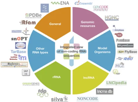 Figure 1. A diagram showing the 28 Expert Databases imported into RNAcentral as of September 2018, organised according to their contents
