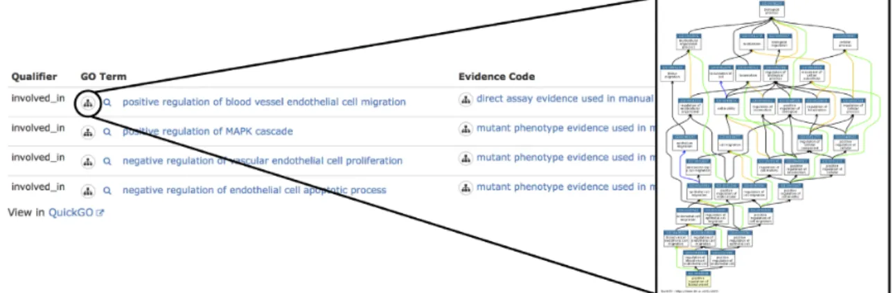 Figure 7. RNAcentral visualization of GO annotations for miRNA hsa-mir-126 (URS0000759B6D 9606) that is involved in heart development.