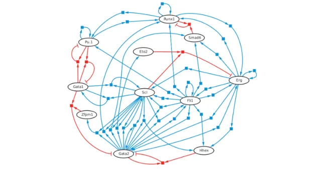 Figure 1.6 A Boolean model of the core transcription factor network active in haematopoi- haematopoi-etic stem cells, from Bonzanni et al
