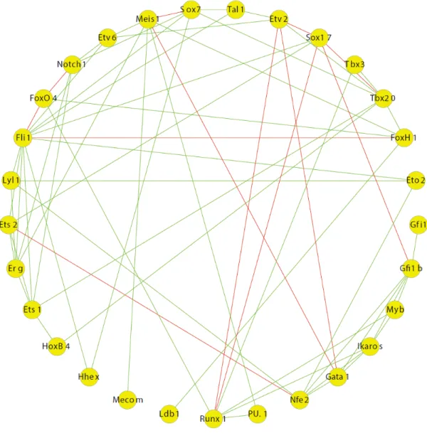 Figure 1.10 Relevance network obtained from partial correlation analysis. Green: activa- activa-tion; red: repression.