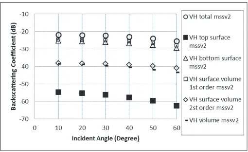 Figure 10. Backscattering coeﬃcient of model prediction (MSSV2) in Figure 9 (V H polarized).