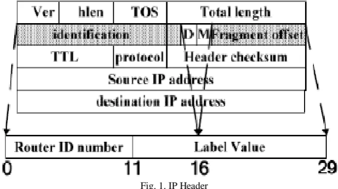Fig. 1. IP Header 