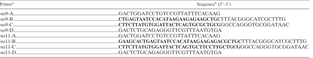 FIG. 1. Schematic of generation of Salmonella entericaphimurium SL3261 strains carrying a foreign epitope in ﬁmbrin