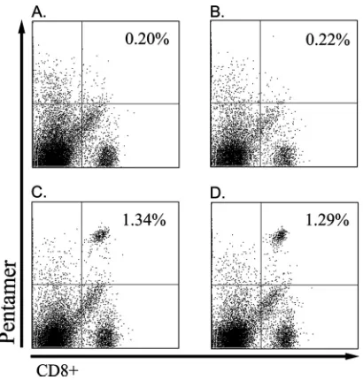FIG. 4. ELISPOT assay of IFN-� of mouse spleen cells. HLA-A*0201 transgenic mice were euthanized 1 week after the last immu-