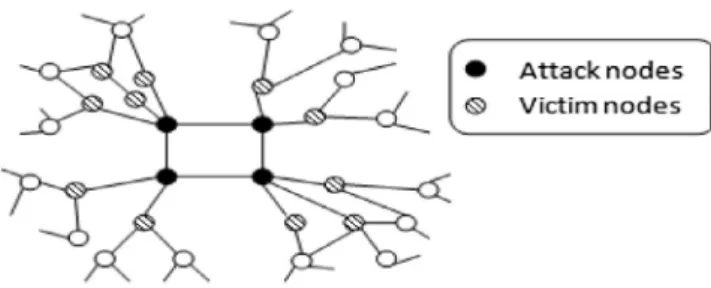 Figure 9 Describing relationship between attacking and victim nodes.