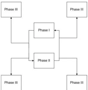 Figure 3. Social construction of knowledge based on the IAM coding. 
