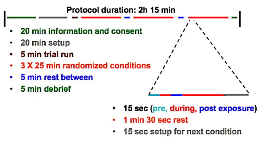 Figure 7: Breakdown of the study protocol in terms of timing. The overall protocol was 2 