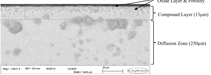 Fig. 4  SEM image profile through the cross section of a QPQ pin sample