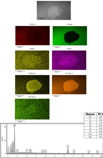 Fig. 10  SEM image, EDX map and spectra in the worn surfaces of the QPQ pin samples at 1.19 GPa contact pressure and 12 Hz sliding speed with ZDDP additive