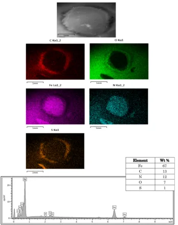 Fig. 11  SEM image, EDX map and spectra in the worn surfaces 