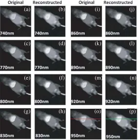 Figure 2.Spectral unmixing results by using MVSA algorithm.(a) Original and reconstructedDTTC ﬂuorescence spectra.(b) Original and reconstructed autoﬂuorescence spectra.(c) Relativeerrors between the original and reconstructed spectra.