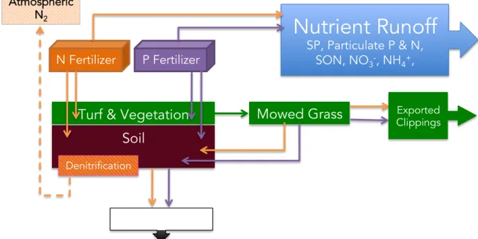 Figure 3  Selected Nutrient Cycles in a Turf Grass Ecosystem (adapted from Baker, Wilson,  Fulton, &amp; Horgan, 2008) 