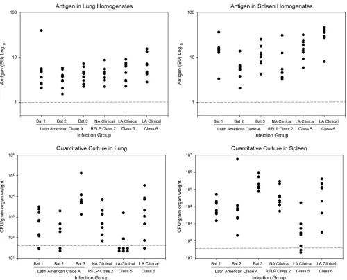 FIG. 2. Quantitative culture and antigen level in mouse lung and spleen produced by 6 isolates used to produce infection with a 107inoculum (groups of 6 mice)
