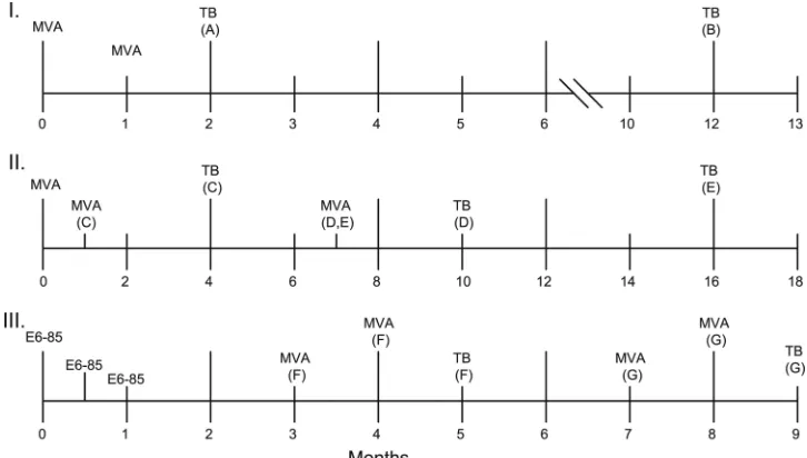 Table 1 compare the protective responses detected at 2 and 12