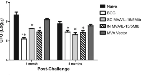 TABLE 2. Persistence of antituberculosis protective immuneresponses induced by MVA/IL-15/5Mtb in lungs withdifferent prime/boost schedules