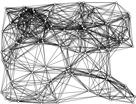 Figure 2.2: A 100-node, 1000-link multi-hop wireless network.