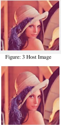 Figure 5: Watermarked image  