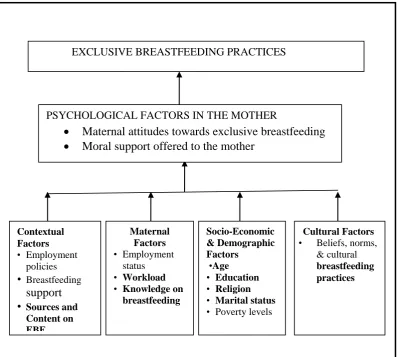 Figure 1.1: Conceptual framework on factors affecting exclusive breastfeeding 